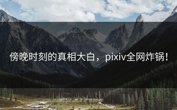 傍晚时刻的真相大白，pixiv全网炸锅！