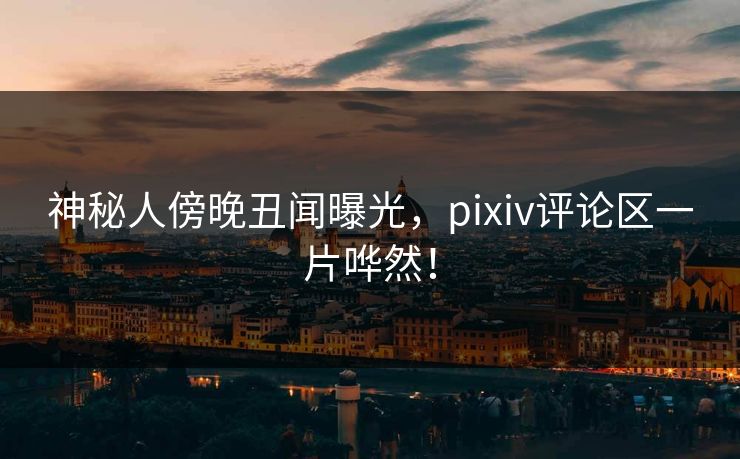 神秘人傍晚丑闻曝光，pixiv评论区一片哗然！